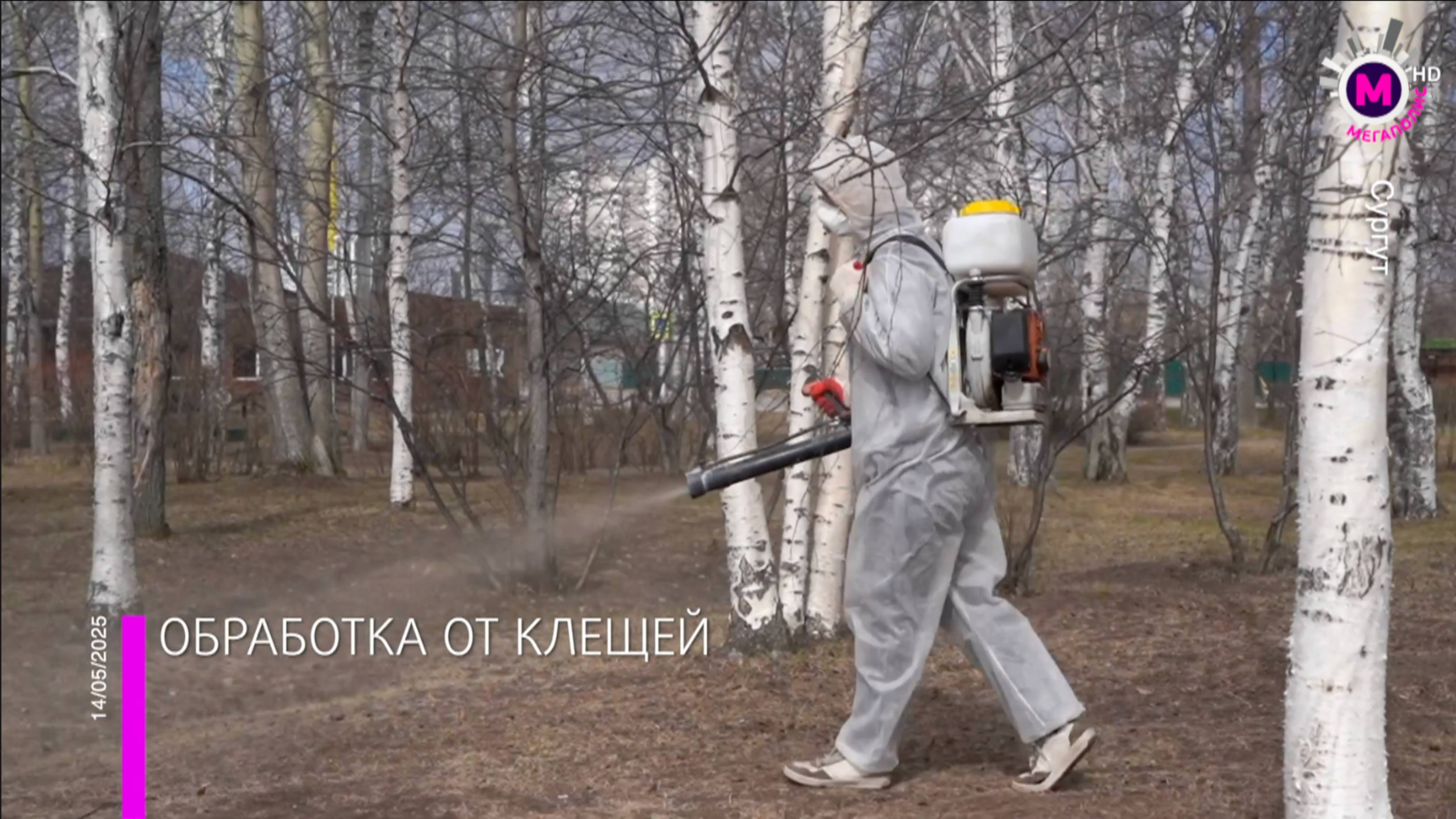 Обработка от клещей – Сургут