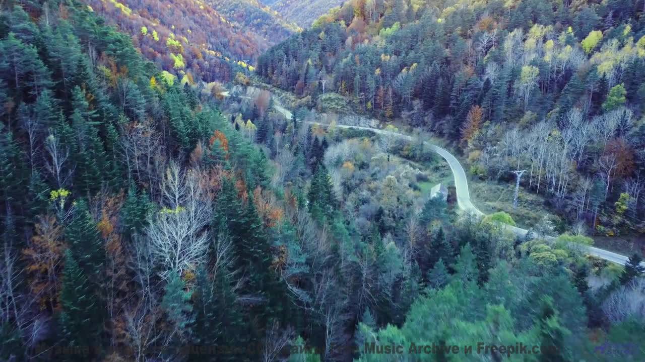 Леса оживают как картина на этой музыке - Fantasy And Denouement -- Podington Bear -- Meet Podington
