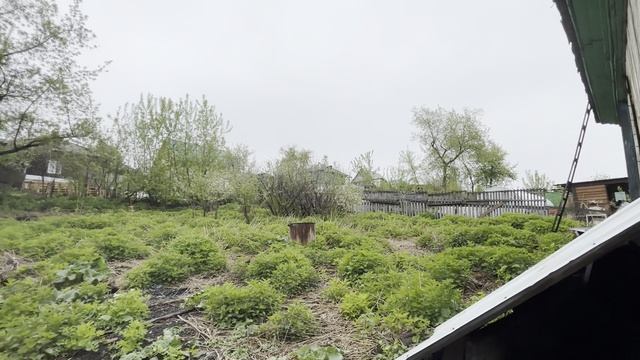 Пролетарская 80