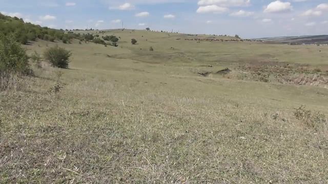 Сравнение Мотоциклов Кавасаки КМХ-200 с CZ-250 (Чезетом)