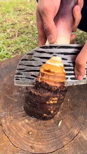 This is the process of cutting taro #shorts