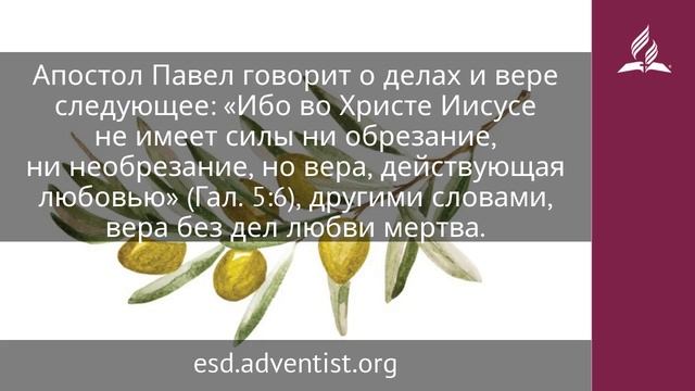 14 мая 2025. Дела и вера. Под сенью благодати _ Адвентисты