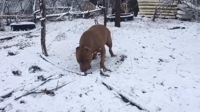 1000000615.mp4