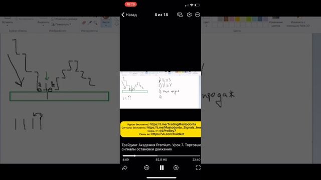 Crypto Kisa курс 2025 | Крипто Киса трейдинг курс 2025 | Crypto Kisa об