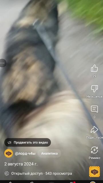1000029620.mp4