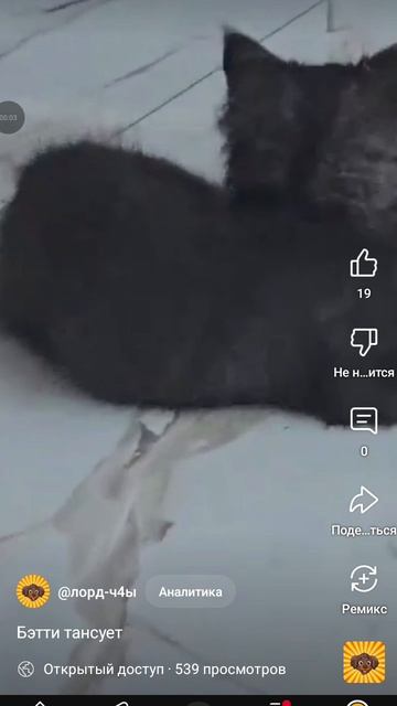 1000029606.mp4