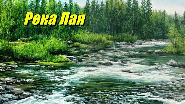 Лая