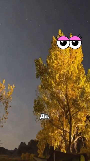 Мед с чесноком
