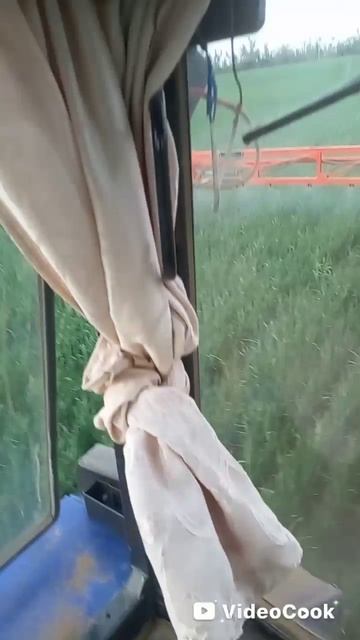 защита флагового листа