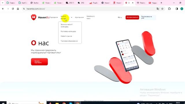 Client.Havenbiz.com (Haven Biz) отзывы - НЕ ВЕРИТЬ. Брокерский сайт без лицензий