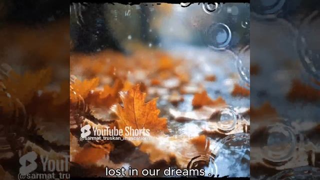 https://t.me/RadioRomantik t.me/AndVideoAndMusic t.me/Ai_chord t.me/IsingAndStudio