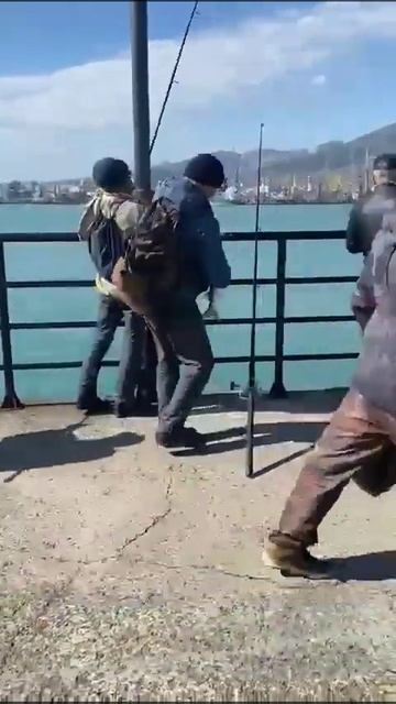 В  Туапсе  раздача.         #fishing #fish #рыбалка #рек