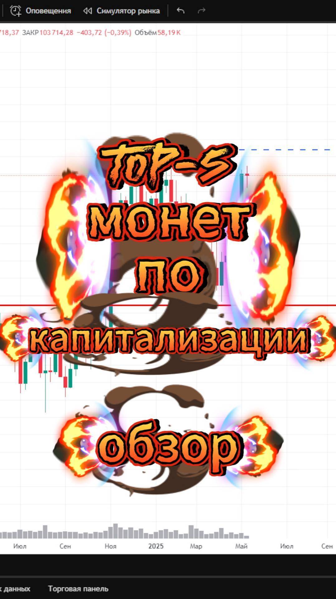 Топ-5 монет по капитализации #обзор #биткоин #btc #bitcoin #криптовалюта #ethereum #eth #xrp #sol