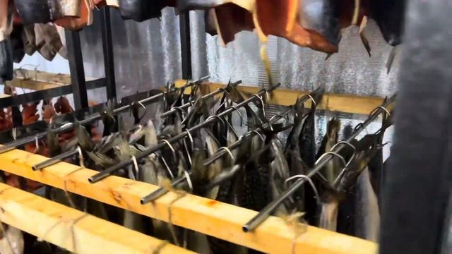 Вяленая юкола горбуши, дорадо и копчение в коптильне Ф