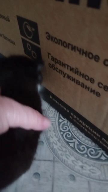 VID_20250514_152851_528.mp4