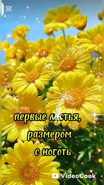 утро!