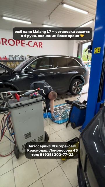 День Лисянов в «Europe-car» 🥳 #Краснодар #shorts
