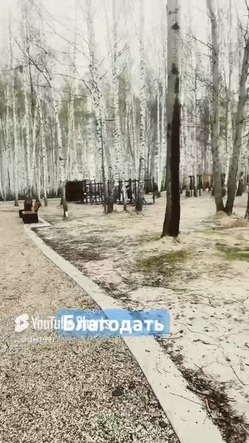 Благодать #топанонсы #хочуврекомендации #рекомендации #tiktoktrending #реки #yutubeshorts #вреки.