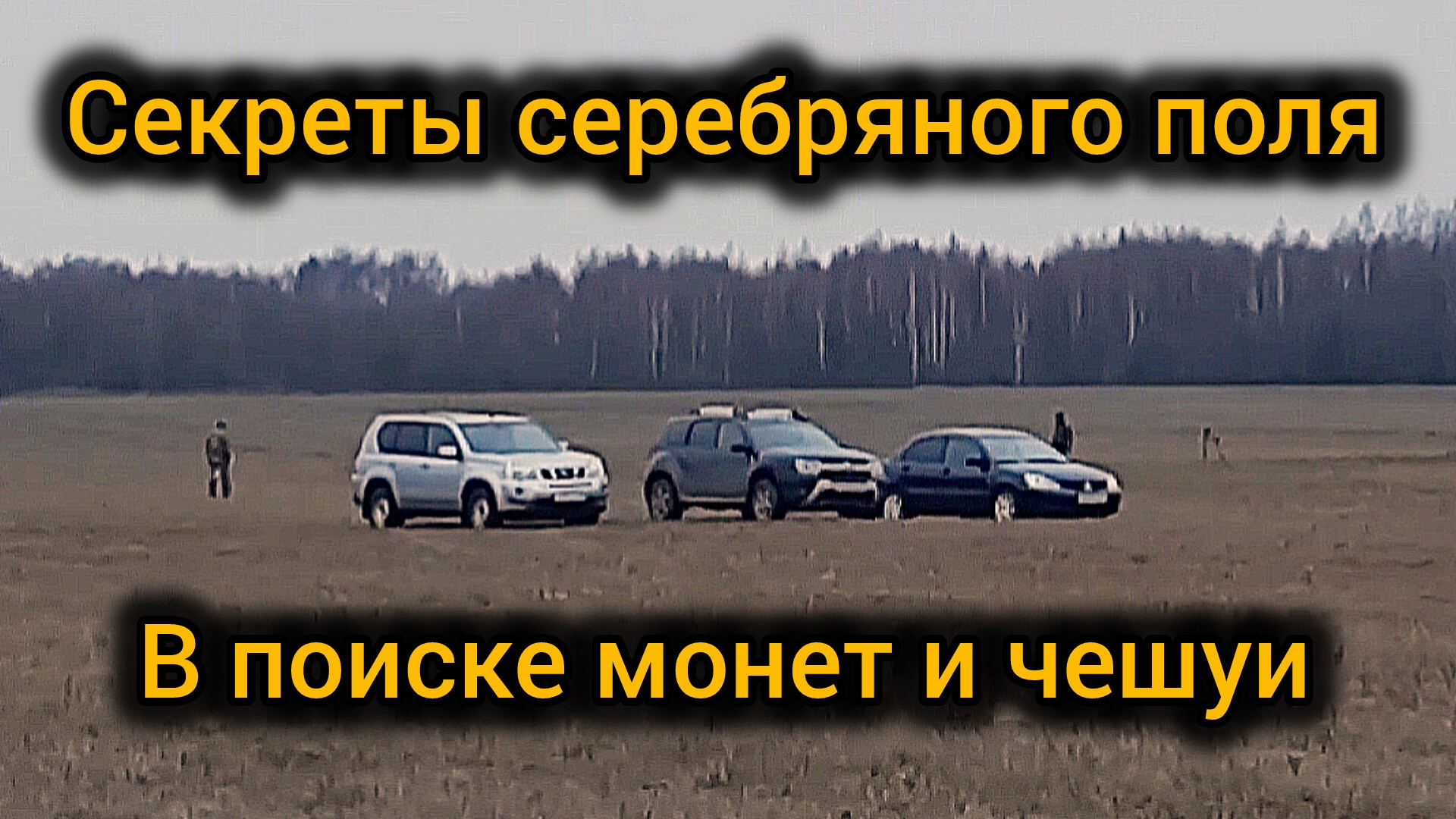 По следам серебра:Секреты серебряного поля