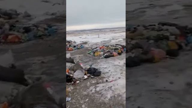 Состояние полигона отходов в Усть-Калманке на 16 январ?