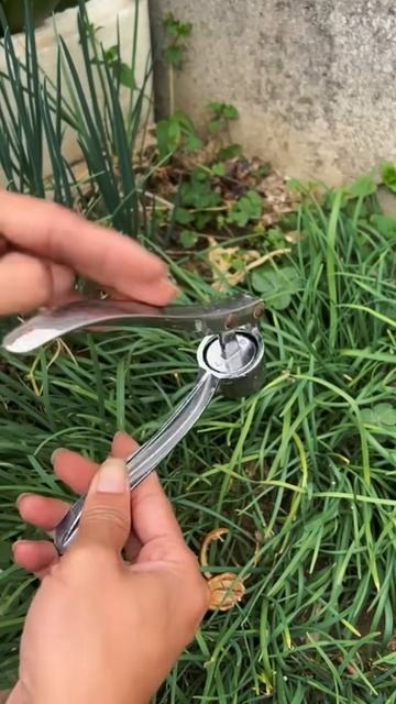 Tool for grinding garlic #shorts