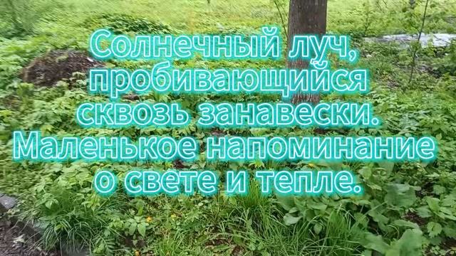 Направьте внимание на хорошее