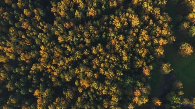 Земля звучит лучше любой симфонии в этом ролике - Lucky Day -- Crowander -- Commercial 30 Seconds (f
