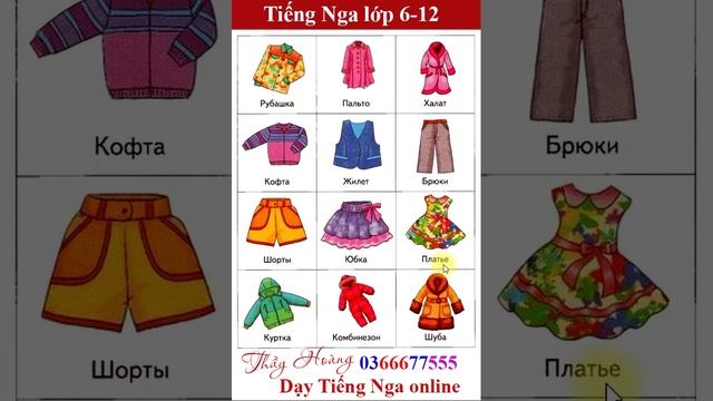 #Shorts 3_Ho tu vung chu de quan ao