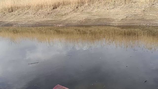 Оросительный канал