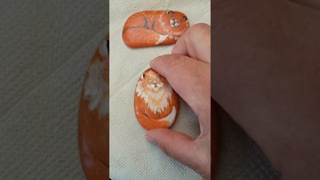 Котики рулят