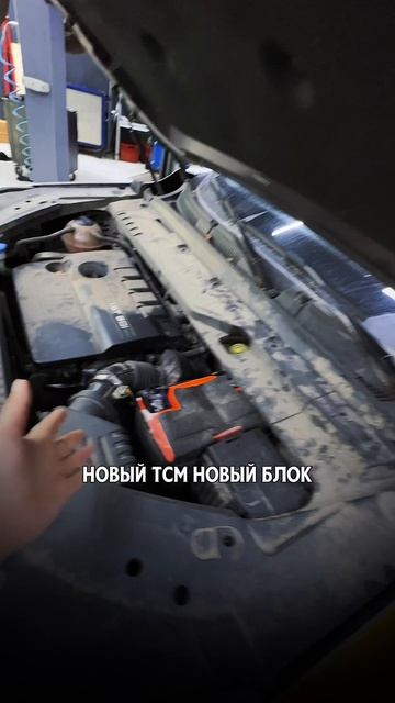 И как это объяснить? Chery