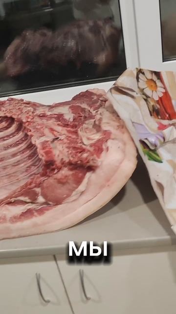 К нам приехала свинья 🐽