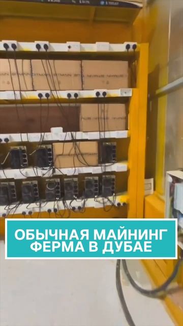 Так майнят криптовалюту в Дубае! #майнинг #крипта #инве