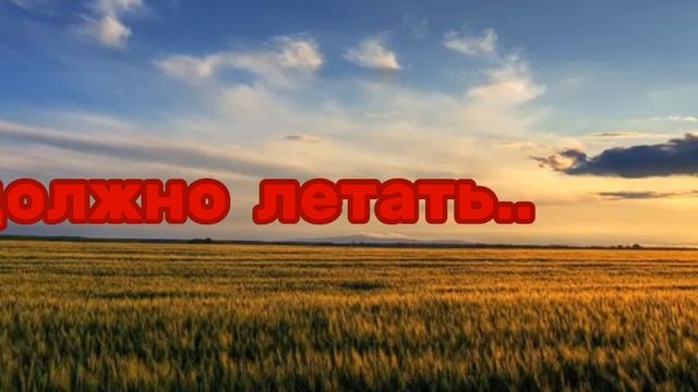 должно летать