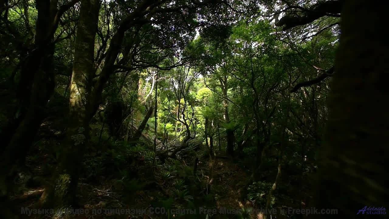 Клип, созданный на орбите чёрной дыры - технологии будущего! - Leading Me On -- Derek Clegg -- The B