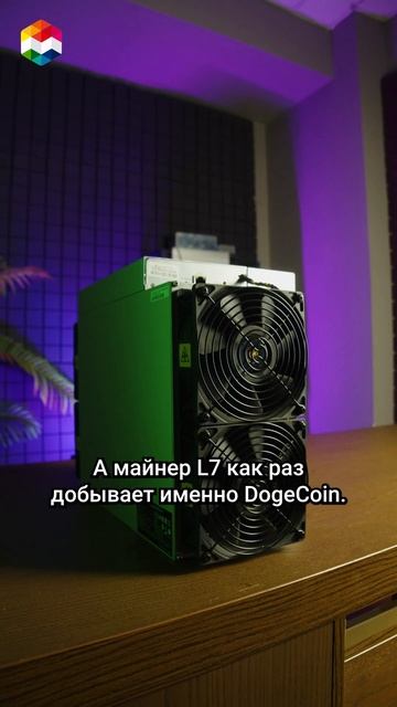 КАКОЙ майнер ИЛОН МАСК подарил СЫНУ?
