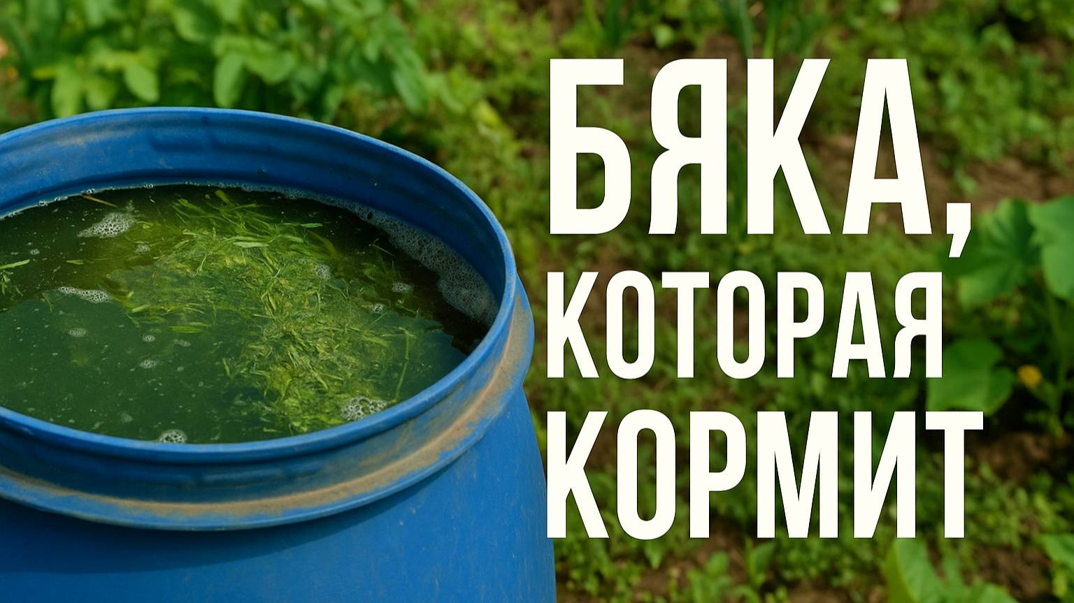 Бяка — страшно на вид, но круче удобрения нет!