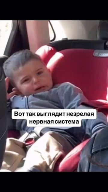 Как работает детская нервная система #детскийпсихолог #дети