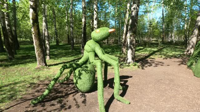 Парк г.Красноярск 14 мая 2025г.