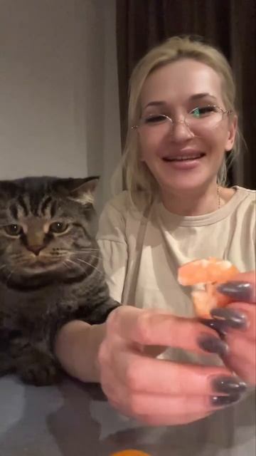 кот и креветка