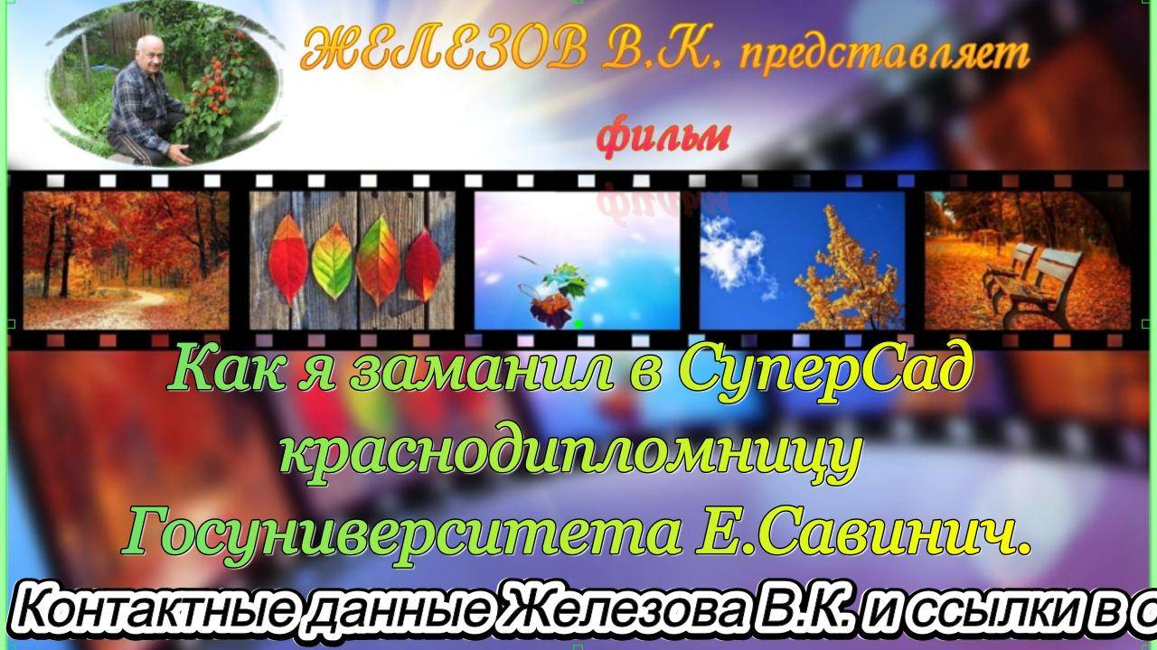 Как я заманил в СуперСад краснодипломницу Госуниверситета Е.Савинич.