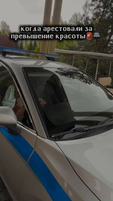 Арестованы за превышение красоты!