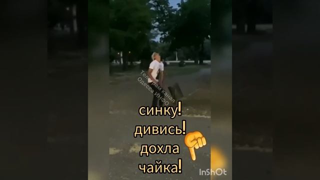 Одесса ЛЕТО НОВОСТИ И ПРИКОЛЫ 18+ СТРОГО!