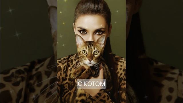 Фотосессия с Котом Которая Растопит Сердца! Идеи для Милых и Стильных Кадров