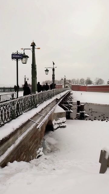 Иоанновский мост, Петербург. 12 декабря 2023.