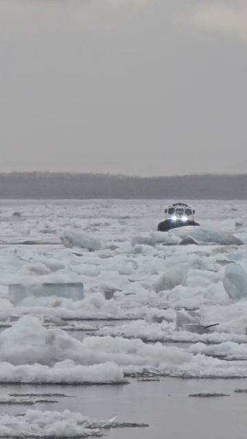 Судно на воздушной подушке штурмует ледоход