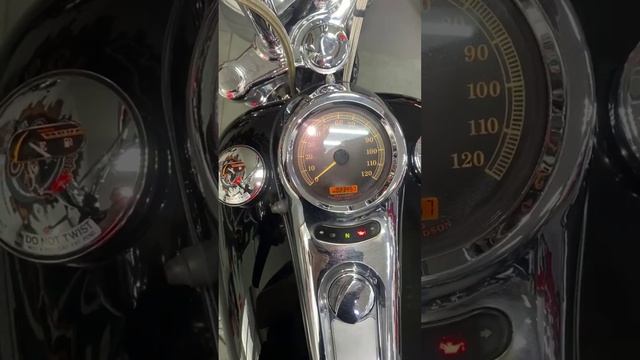 HARLEY-DAVIDSON FXSTDI (2005)