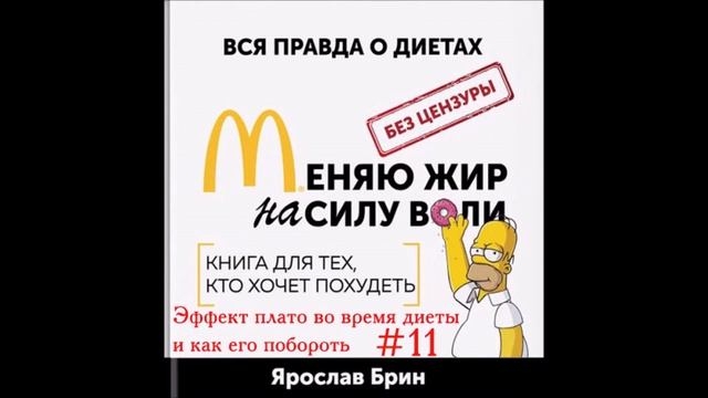 Меняю Жир на Силу Воли  полная аудиокнига - Как похудеть без вреда для здоровья - Ярослав Брин