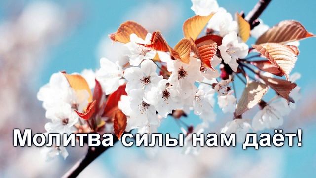 Молитва. Христианское караоке