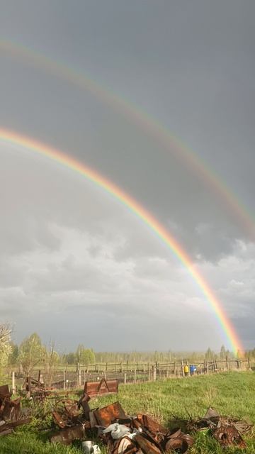 красота
